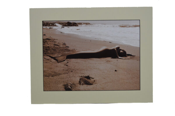 Sunshine Daydream 11"H x 14"L Matted Print