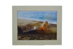 Neptune's Treasure 11"L x 14"H Matted Print