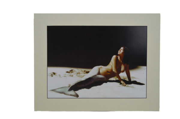 Light of Day 11"H x 14"L Matted Print