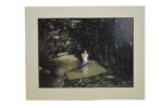 Radiance 11"H x 14"L Matted Print
