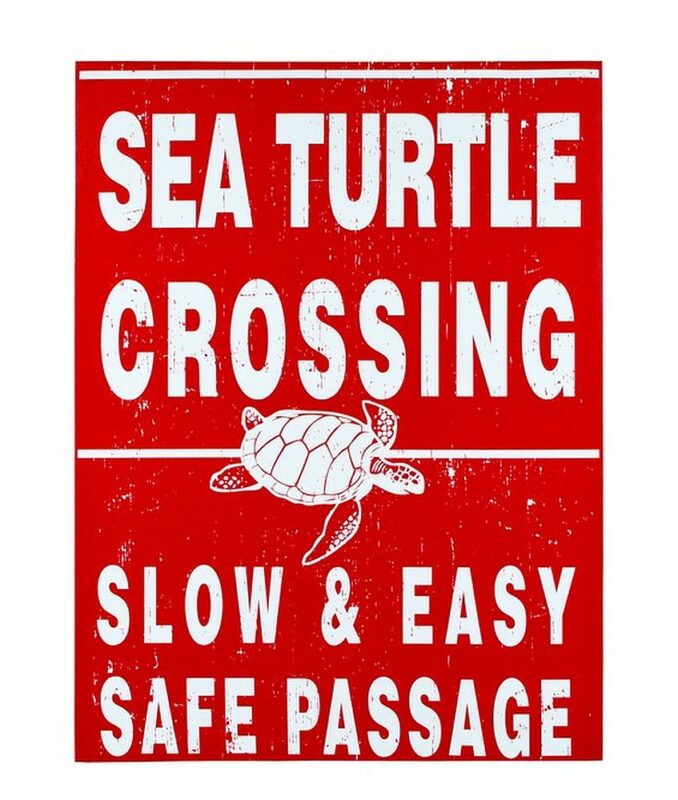 Save the turtles VSCO Girl sign