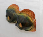 14"H Copper Butterfly Fish Pair Wall Art - Image 3