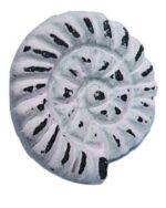 Iron Spiral Shell Knob Distressed White