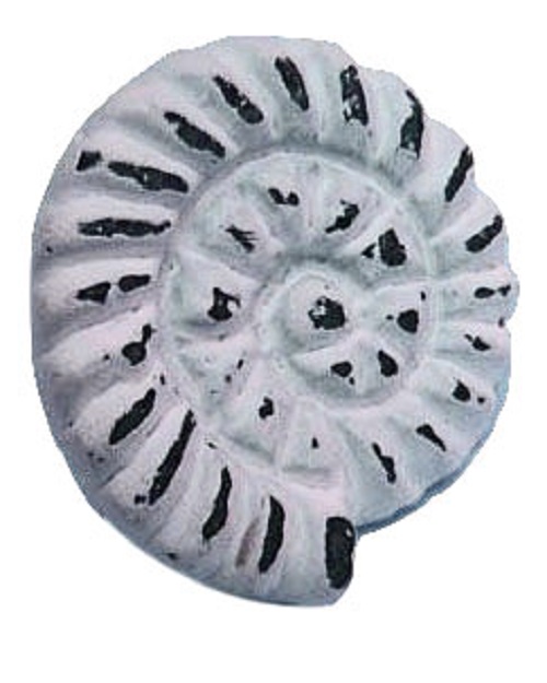 VE025DW Iron Spiral Shell Knob Distressed White - Image 1