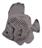 Drawer Knob Fish Distressed Cream Iron