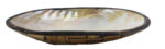 9.75"L Clam Shell Spice Bowl with Black Trim